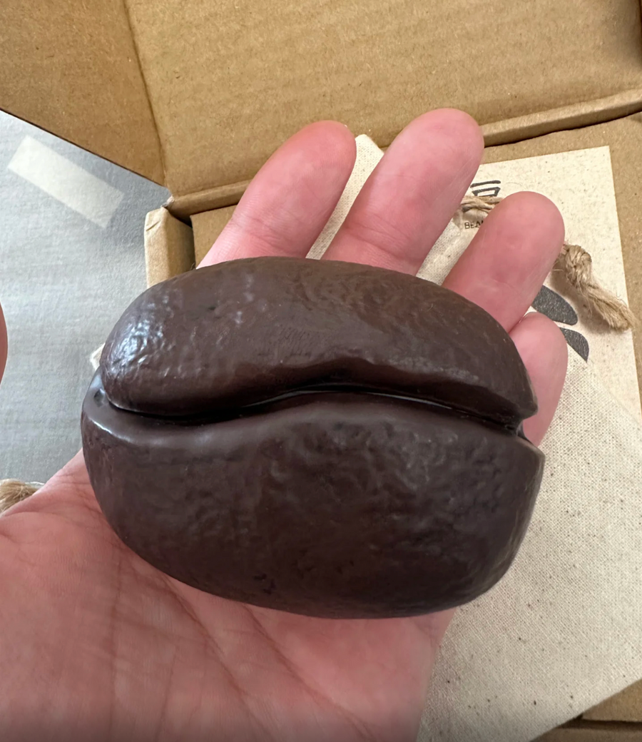 Coffee Bean Case
